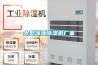 大型泳池除濕機廠家