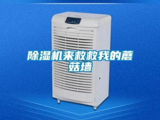 行業新聞除濕機來救救我的蘑菇墻