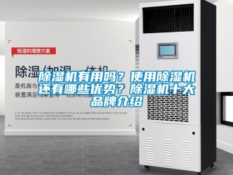 企業新聞除濕機有用嗎？使用除濕機還有哪些優勢？除濕機十大品牌介紹