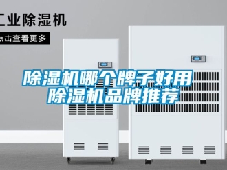 企業新聞除濕機哪個牌子好用 除濕機品牌推薦