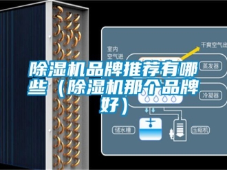 企業新聞除濕機品牌推薦有哪些（除濕機那個品牌好）