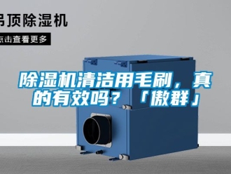 行業新聞除濕機清潔用毛刷，真的有效嗎？「傲群」