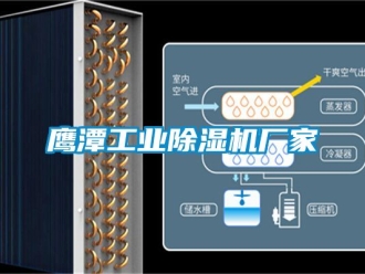 企業新聞鷹潭工業除濕機廠家