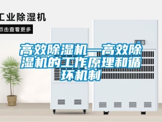 行業新聞高效除濕機—高效除濕機的工作原理和循環機制