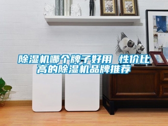 企業新聞除濕機哪個牌子好用 性價比高的除濕機品牌推薦