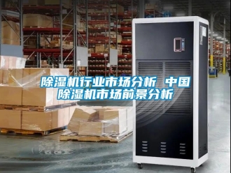 行業(yè)新聞除濕機(jī)行業(yè)市場分析 中國除濕機(jī)市場前景分析