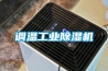 調(diào)溫工業(yè)除濕機(jī)