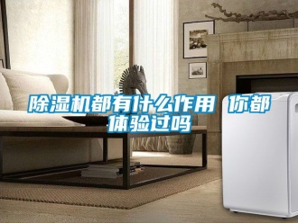 行業新聞除濕機都有什么作用 你都體驗過嗎