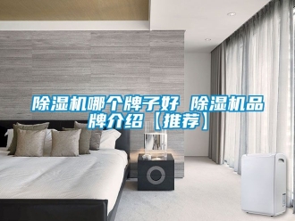 企業新聞除濕機哪個牌子好 除濕機品牌介紹【推薦】