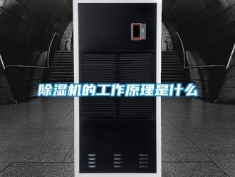 企業新聞除濕機的工作原理是什么
