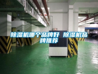 企業(yè)新聞除濕機(jī)哪個(gè)品牌好 除濕機(jī)品牌推薦