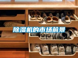企業(yè)新聞除濕機的市場前景