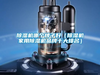 企業(yè)新聞除濕機(jī)哪個(gè)牌子好（除濕機(jī)家用除濕機(jī)品牌十大排名）