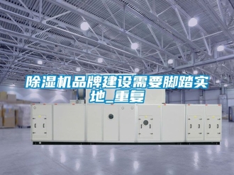 企業新聞除濕機品牌建設需要腳踏實地_重復