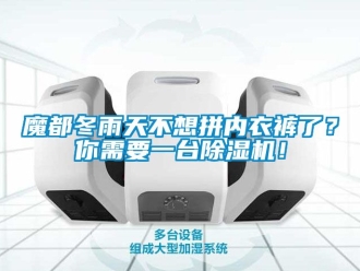 行業(yè)新聞魔都冬雨天不想拼內(nèi)衣褲了？你需要一臺(tái)除濕機(jī)！