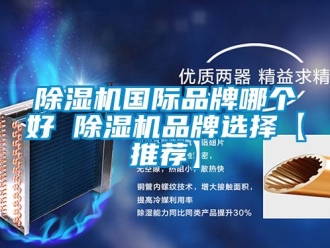 企業新聞除濕機國際品牌哪個好 除濕機品牌選擇【推薦】
