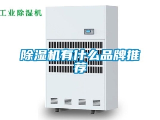 企業新聞除濕機有什么品牌推薦