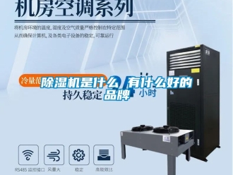 企業新聞除濕機是什么 有什么好的品牌