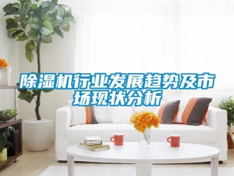 行業(yè)新聞除濕機(jī)行業(yè)發(fā)展趨勢及市場現(xiàn)狀分析
