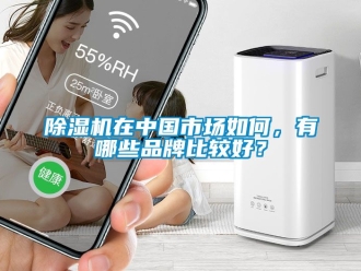 企業新聞除濕機在中國市場如何，有哪些品牌比較好？