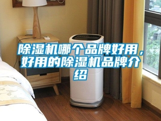 企業(yè)新聞除濕機(jī)哪個(gè)品牌好用，好用的除濕機(jī)品牌介紹