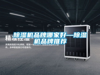 企業新聞除濕機品牌哪家好—除濕機品牌推薦