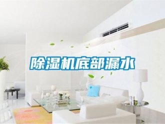 企業新聞除濕機底部漏水