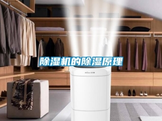 企業(yè)新聞除濕機的除濕原理