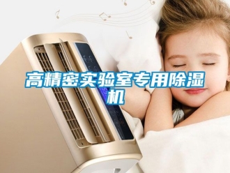 行業(yè)新聞高精密實(shí)驗(yàn)室專用除濕機(jī)