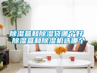 企業(yè)新聞除濕盒和除濕袋哪個(gè)好 除濕盒和除濕機(jī)選哪個(gè)