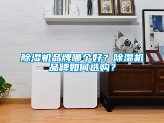 企業新聞除濕機品牌哪個好？除濕機品牌如何選購？