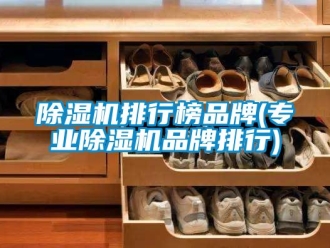 企業(yè)新聞除濕機(jī)排行榜品牌(專業(yè)除濕機(jī)品牌排行)
