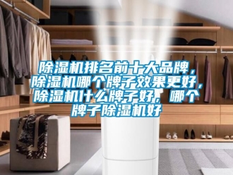 企業新聞除濕機排名前十大品牌，除濕機哪個牌子效果更好，除濕機什么牌子好，哪個牌子除濕機好