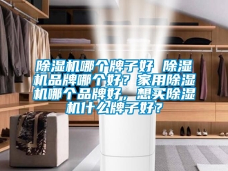 企業新聞除濕機哪個牌子好 除濕機品牌哪個好？家用除濕機哪個品牌好，想買除濕機什么牌子好？
