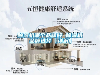 企業(yè)新聞除濕機(jī)哪個(gè)品牌好 除濕機(jī)品牌選擇【詳解】
