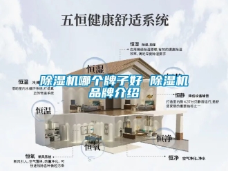 企業新聞除濕機哪個牌子好 除濕機品牌介紹