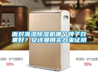 行業新聞面對潮濕除濕機哪個牌子效果好？安詩曼用實力來證明