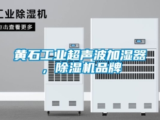 常見問題黃石工業(yè)超聲波加濕器，除濕機(jī)品牌