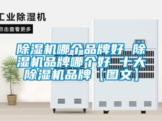 企業(yè)新聞除濕機(jī)哪個(gè)品牌好 除濕機(jī)品牌哪個(gè)好 十大除濕機(jī)品牌【圖文】