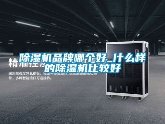 企業新聞除濕機品牌哪個好_什么樣的除濕機比較好