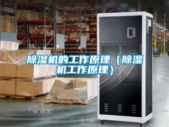 企業(yè)新聞除濕機的工作原理（除濕機工作原理）
