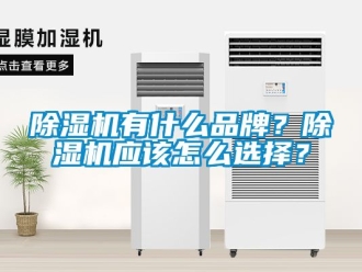 企業新聞除濕機有什么品牌？除濕機應該怎么選擇？