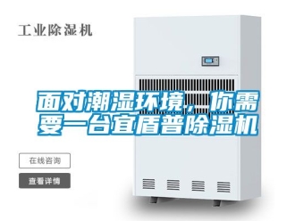 行業新聞面對潮濕環境，你需要一臺宜盾普除濕機