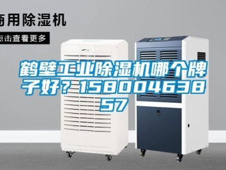 常見問題鶴壁工業(yè)除濕機(jī)哪個(gè)牌子好？15800463857