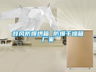 企業新聞鼓風防爆烘箱 防爆干燥箱廠家