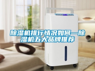 企業(yè)新聞除濕機(jī)排行情況如何—除濕機(jī)五大品牌推薦
