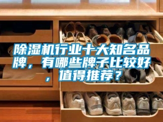 企業新聞除濕機行業十大知名品牌，有哪些牌子比較好，值得推薦？