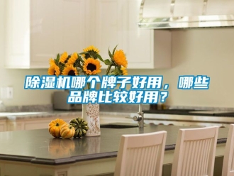 企業新聞除濕機哪個牌子好用，哪些品牌比較好用？