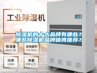 企業新聞除濕機的十大品牌有哪些？哪些除濕機品牌值得推薦？