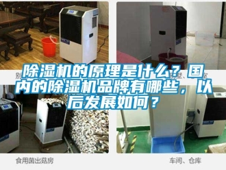 企業新聞除濕機的原理是什么？國內的除濕機品牌有哪些，以后發展如何？